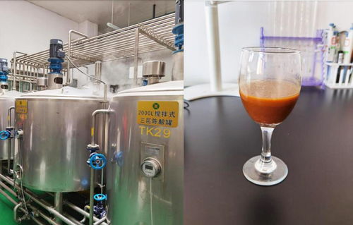 寧夏紅棗高值化健康產品加工關鍵技術研究與示范項目通過驗收——賦能電氣設備制造新發展